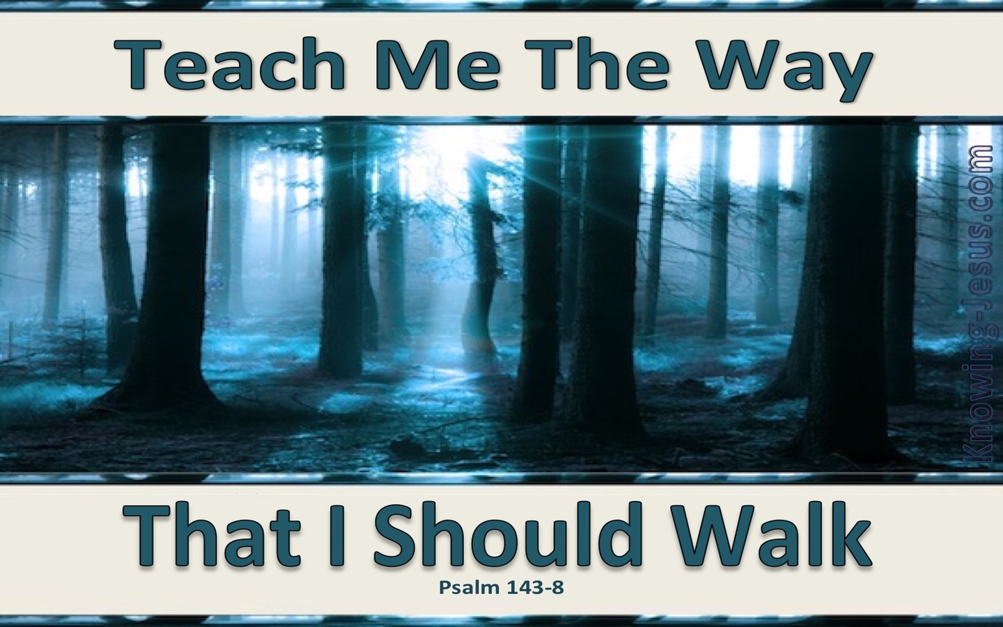 Psalm 143:8 Teach Me The Way That I Should Go (aqua)